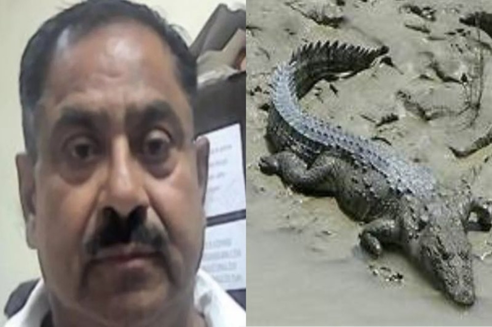 डॉक्टरच मारत होता लोकांना आणि खाऊन घालत असे मगरींना!